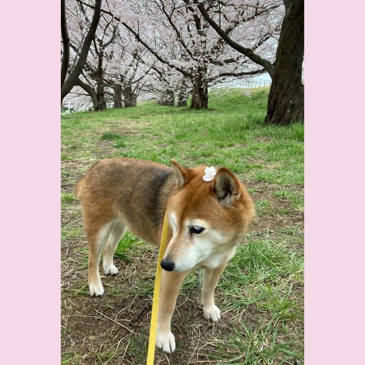 28ff1a7b 8be0 476e 8329 8301e098d6f4 1648527646647