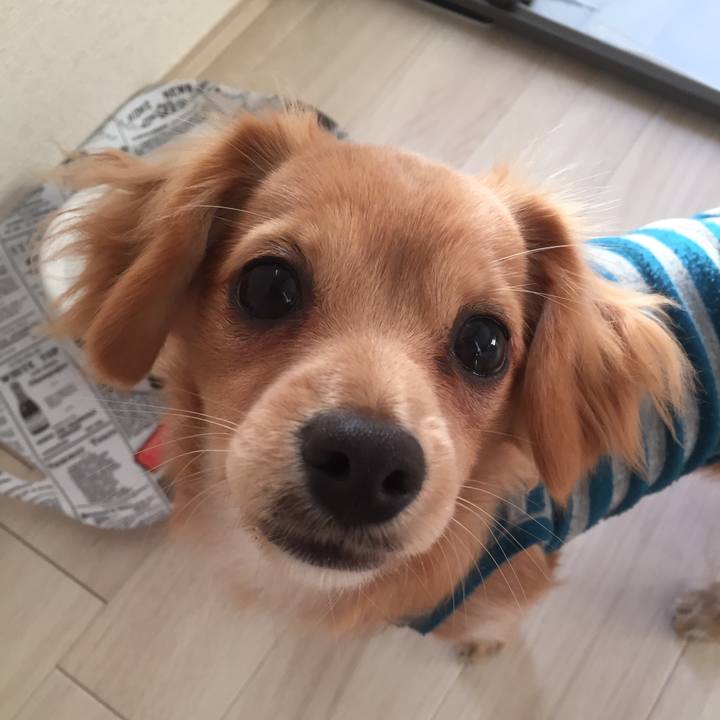 28ff1bf3 2999 40fb 92bc c6befac82ca4 1513896177774