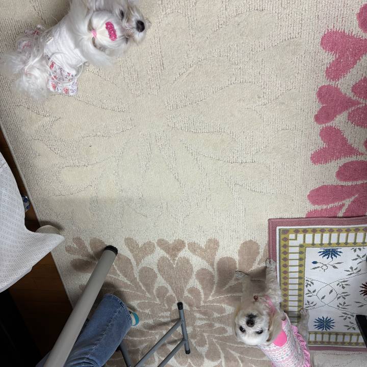 28ff6098 0c68 4c1c bd66 99bd91c31ac5 1772106368598