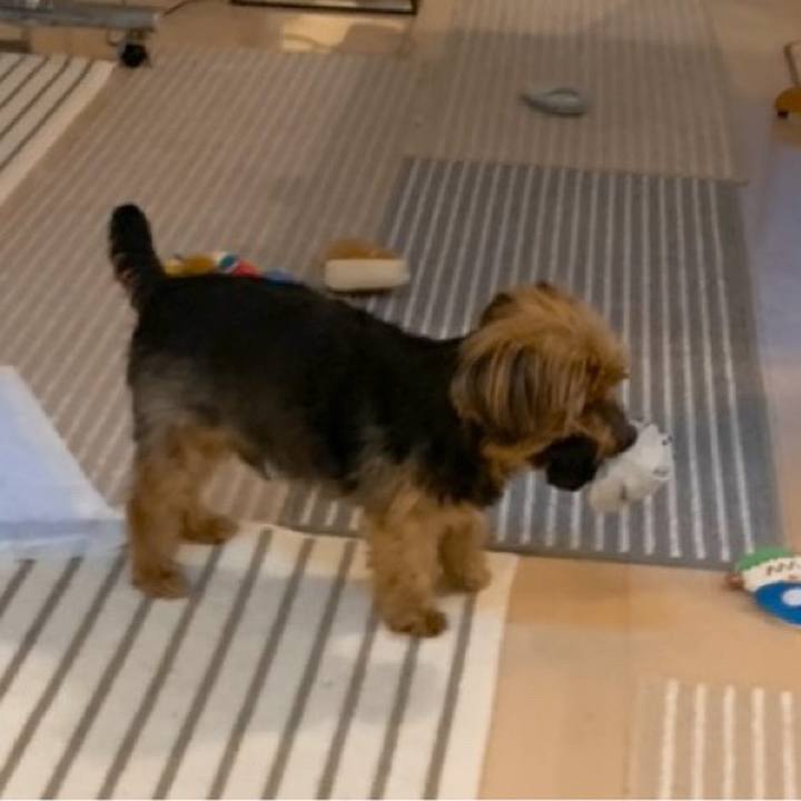 28ff700c 74e7 4813 84bb 9bbea6639d72 1623917715820