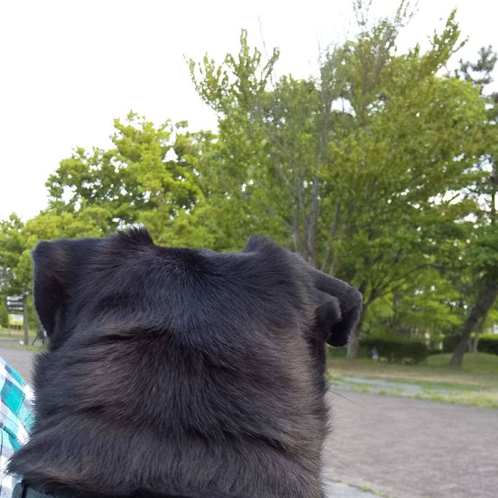 28ffb821 6508 4af2 957c d5a96b636508 1557914669043