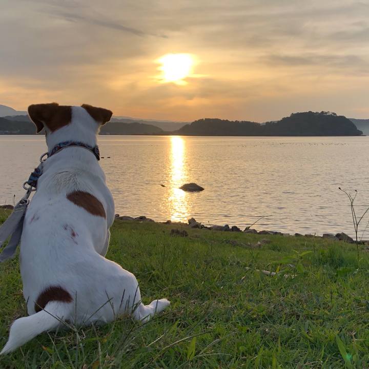 28ffb96a 8d5c 4d4d bf71 42fc5720bffe 1540197888493