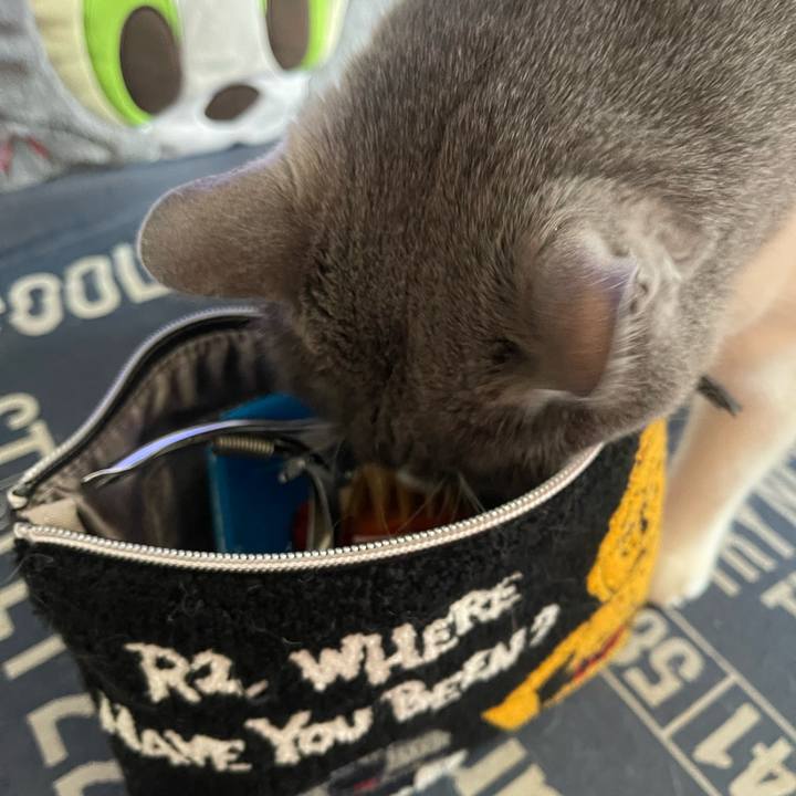 28ffde4d 2b28 4fa5 a198 612d7eb1792d 1747537540521