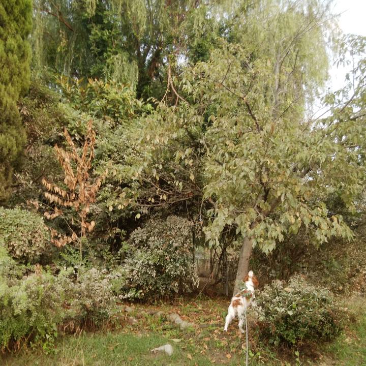 28ffe01e 1ac1 4b03 bcd7 c15bed431401 1531915129224