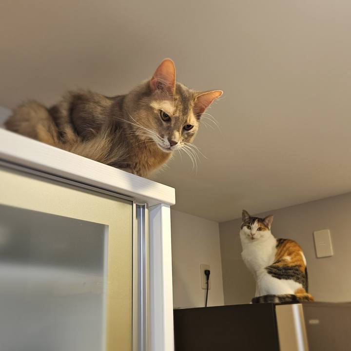 28ffe4cd 8742 4a56 91a3 b7e1bd375989 1761610633581