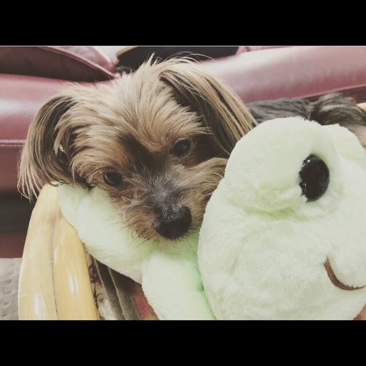 28ffecce 1c6b 4b35 882a f02fac1a8d31 1536551194689