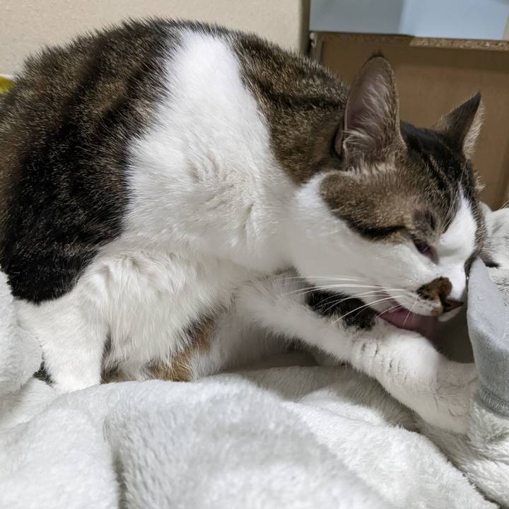 29002362 01e8 4e15 8827 a8709a7c380e 1667127733416