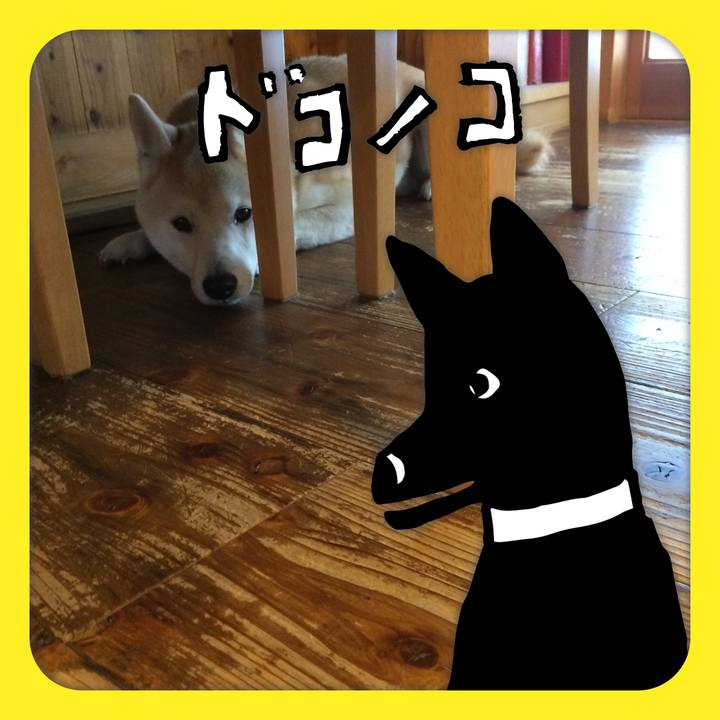 290065da af34 422e bdb3 a38f829945ec 1622948278069