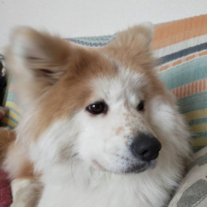 2900b039 330e 4fc3 b8e7 3f477de165b1 1643717586486