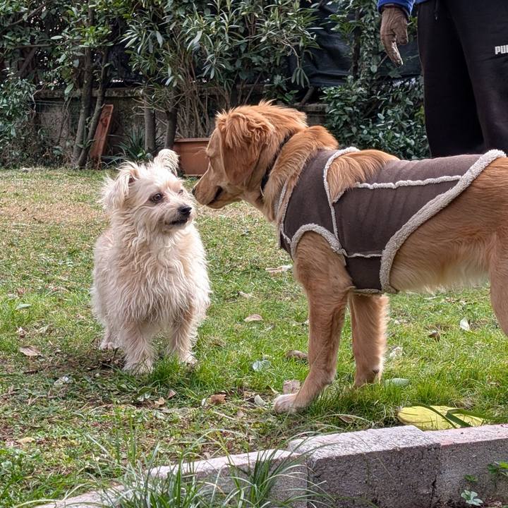 2900ec81 215e 4bb7 a7b0 85b08463442c 1769170950582