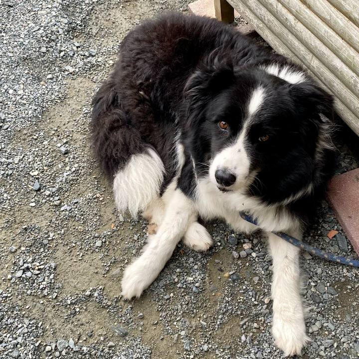 2900f6ed 1efc 4705 b710 016ca7449168 1625441451937