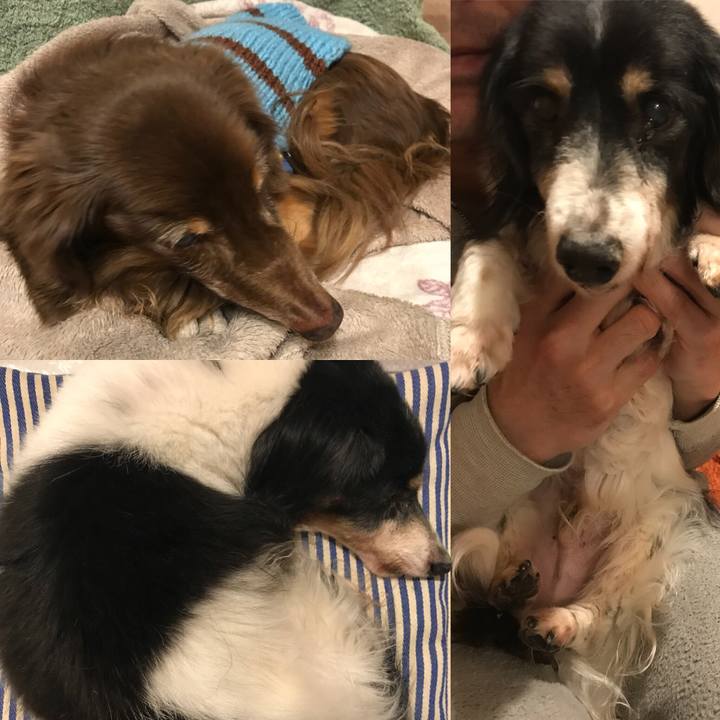 29018796 354e 4ec0 82ca 9d3155e14f1f 1518864166832