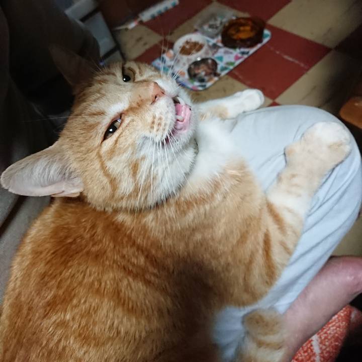 290187b3 ff7b 43fc a88c b199193f4a3a 1589746763066