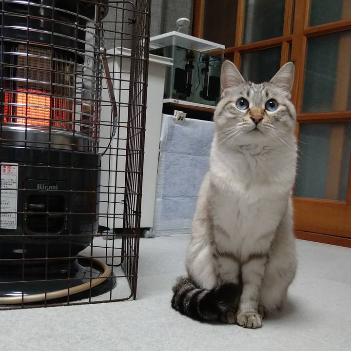 29019d37 d9da 4b72 b38f b544d3914999 1669892647848