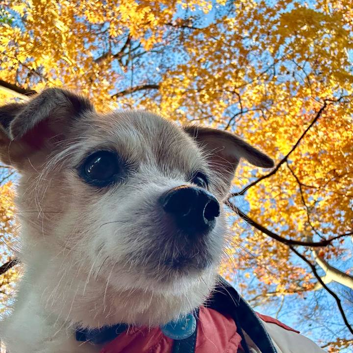 29019d38 37b9 4a51 b55f 3cc52b750e36 1764837632361