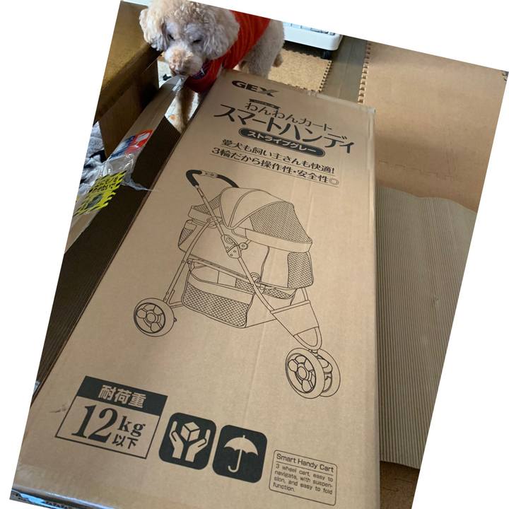 29021d78 cec7 4a7f 9b45 2f4c1aa0765b 1614671360458