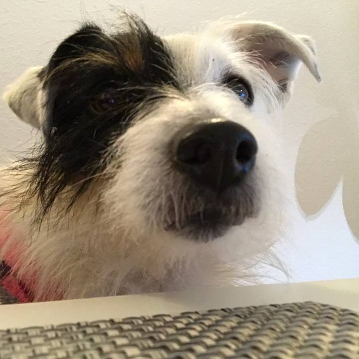 290269f5 7b43 4154 b25b 0765f6fa56be 1517134550846