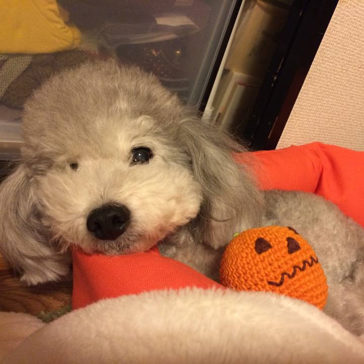 2902763b b966 48b8 af8d 14ea18827ff2 1509239024014