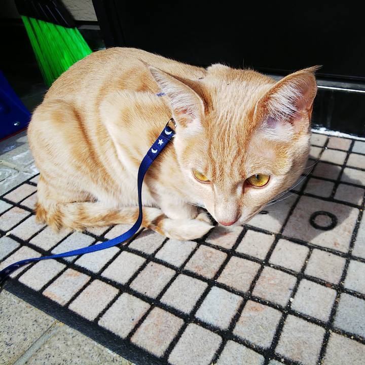 2902a68a ec07 48cc 8282 bf6e70951b58 1553996345720