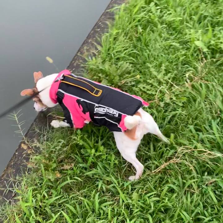 2902b5f9 2963 4152 87c1 ac52315eb879 1594943534943