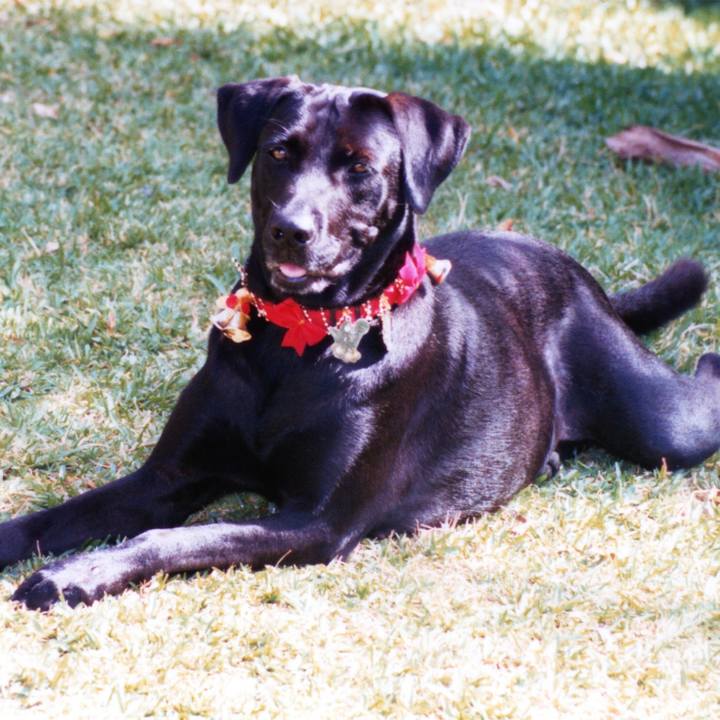 2902bd4a 8b3b 436d 90a2 124e39c96a2b 1521001239677