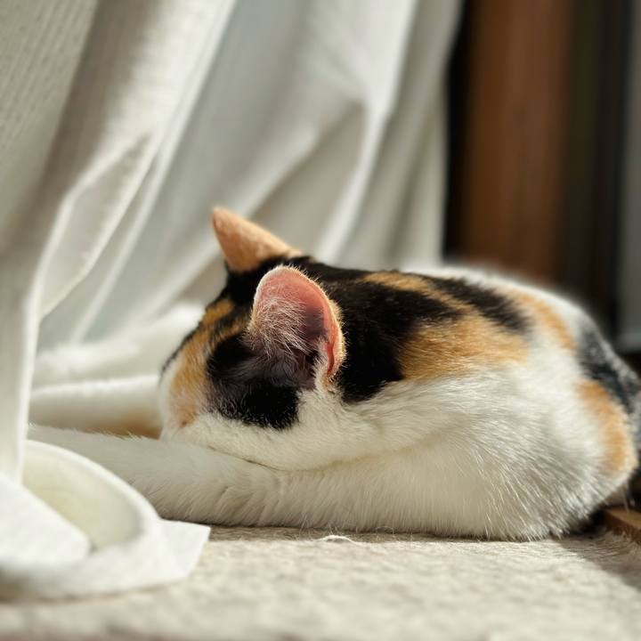 2902fa6a 8dac 436d a373 5e9ad10059b4 1666494836310