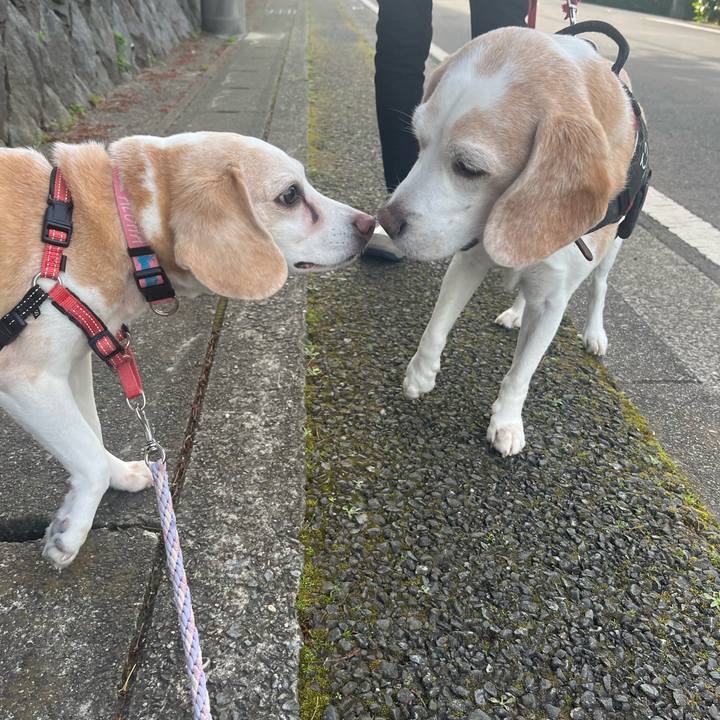 2902fdfe f953 465f abc5 227ce286da9e 1776429116571