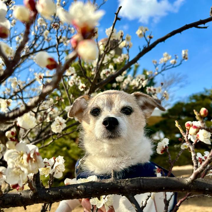 290336b2 f41b 4bdb 86cb ad6f625dfaca 1708249522874