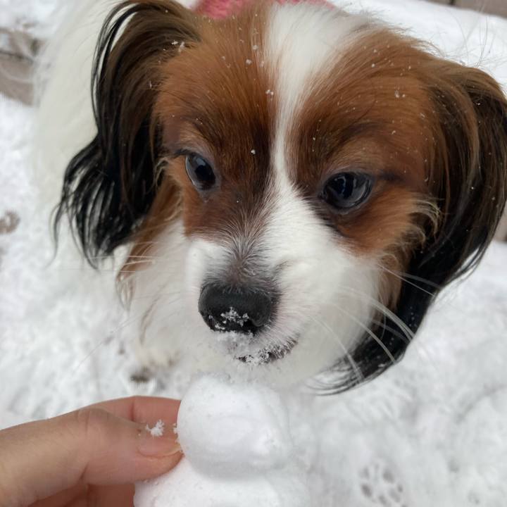 29033ed6 59ae 4268 945d 74ceb7fad6f9 1643590844510