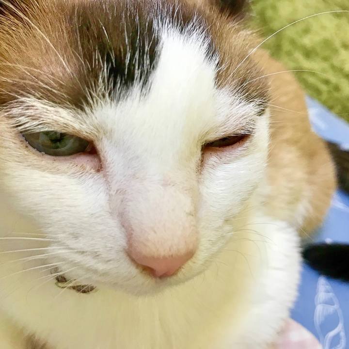 29035827 884c 4efc bfb5 567318f692cd 1534924176912