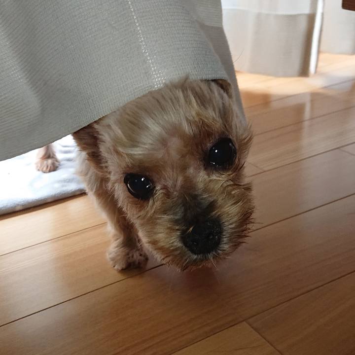 2903a260 14bd 4d63 ae02 06c4ddf73e22 1595755489374