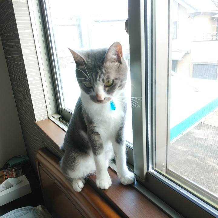 2903b29e 5d11 4834 a130 278ef027d99f 1595115830043