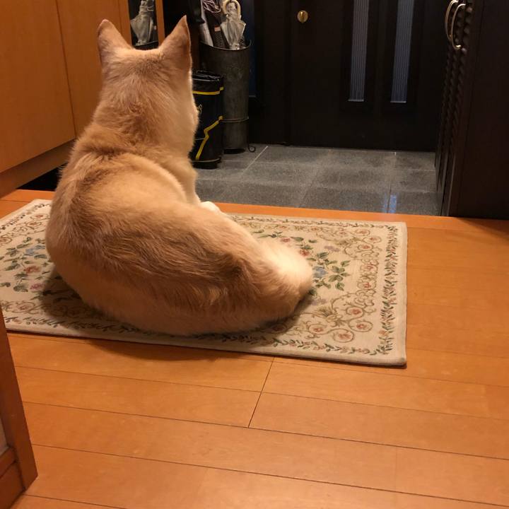 2903c1aa 78ef 4068 9b2f 773e91cb62f5 1569318808295