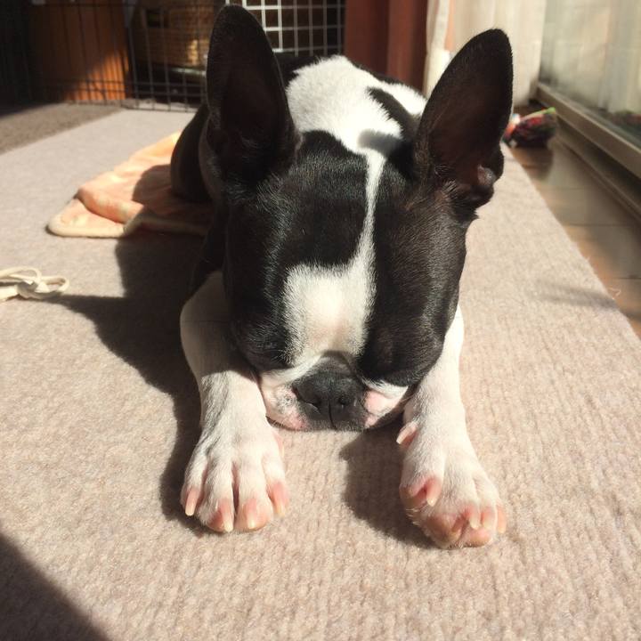 2903c658 e0f3 4554 bc72 e55702f3e2f0 1510222458866