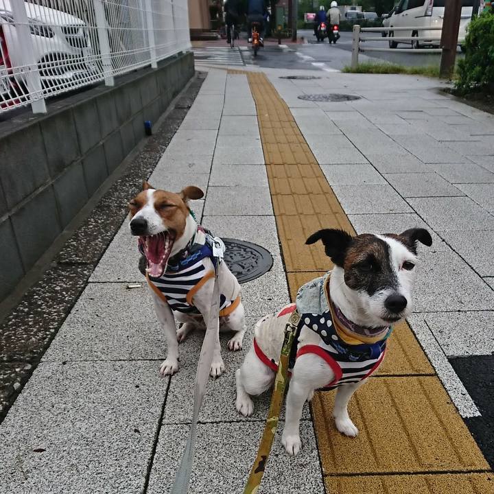 2904432e 2fa5 4ebc b5d8 677aa220e54b 1537914906614