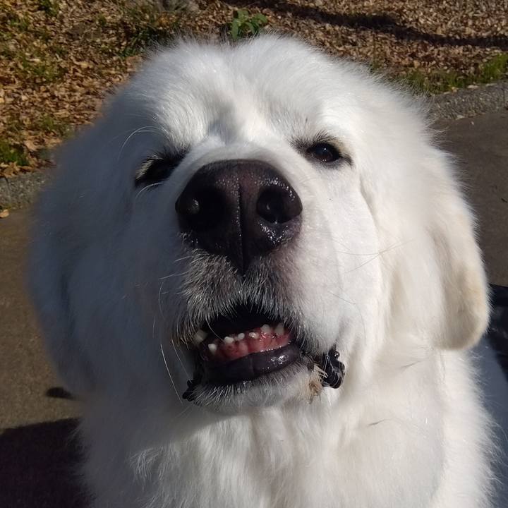 29044a94 5f66 403f 9abf ab805b919c8c 1673605996846