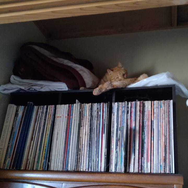 29046af9 2a44 4ccd a559 ef44684d4046 1718534414196