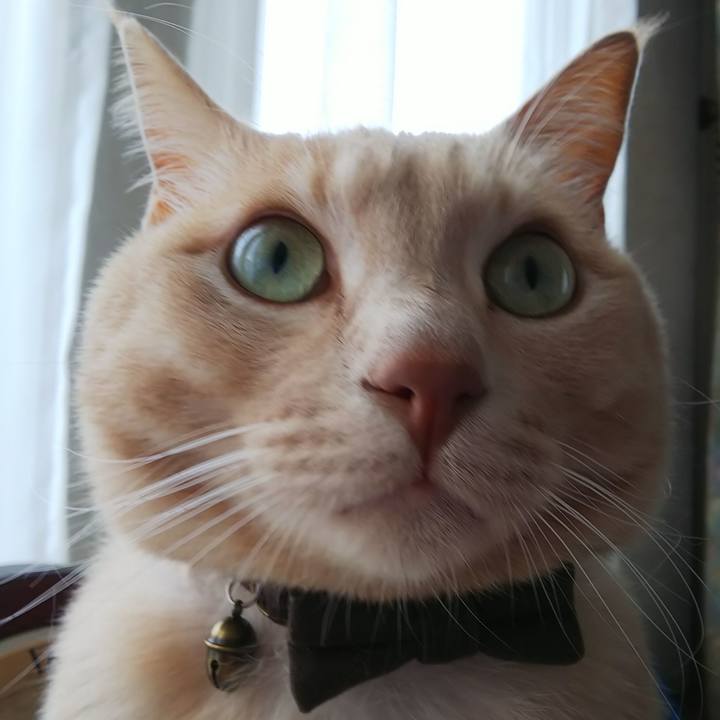 29048311 c709 41b2 8e3f b50d3a8a86ae 1636848685339