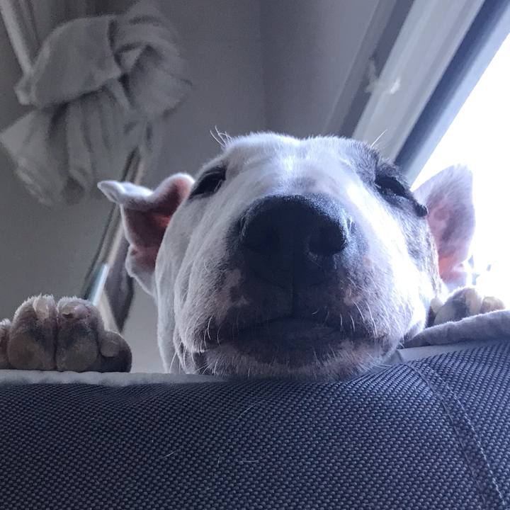 29048d3d 47c3 4c48 ac64 330d021347eb 1598523908338