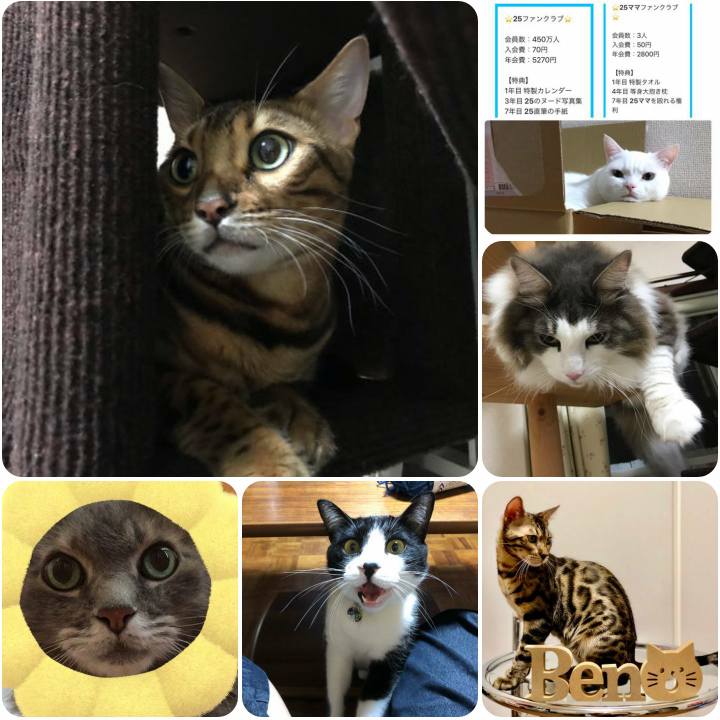 29049599 8fed 432e a9e4 eba70abed9b4 1568543172113