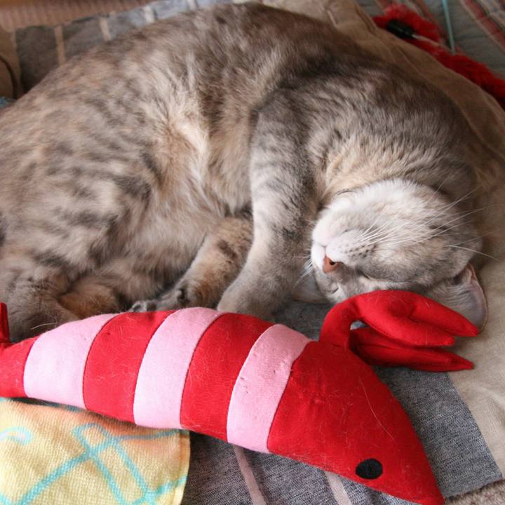 2904b37d ea28 4d38 a35e ac608dc0c290 1514769478746