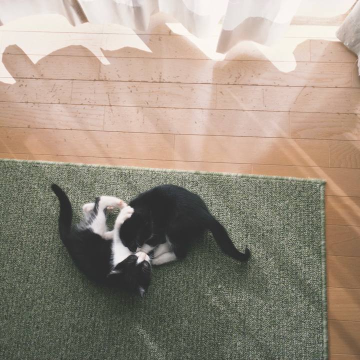 2905074a eb39 477f 9a03 6c8e1d98d385 1763173944287