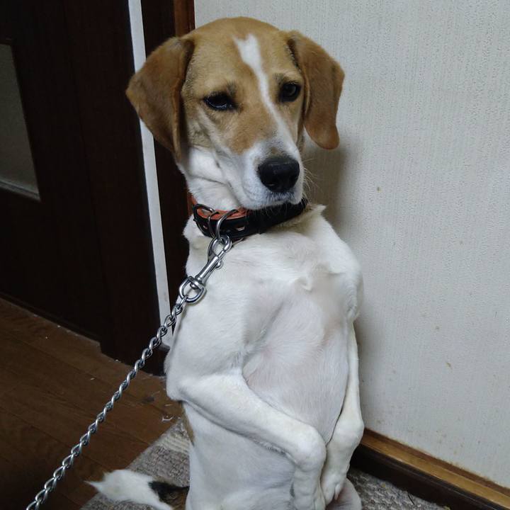 29056444 c3f2 4a18 850b 78c4be7a8fcd 1623487096038