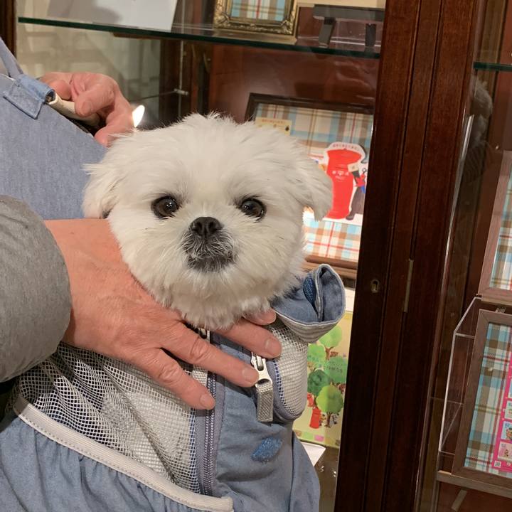 2905c883 8f2f 48fd 9687 9f2ec354b772 1651319675414