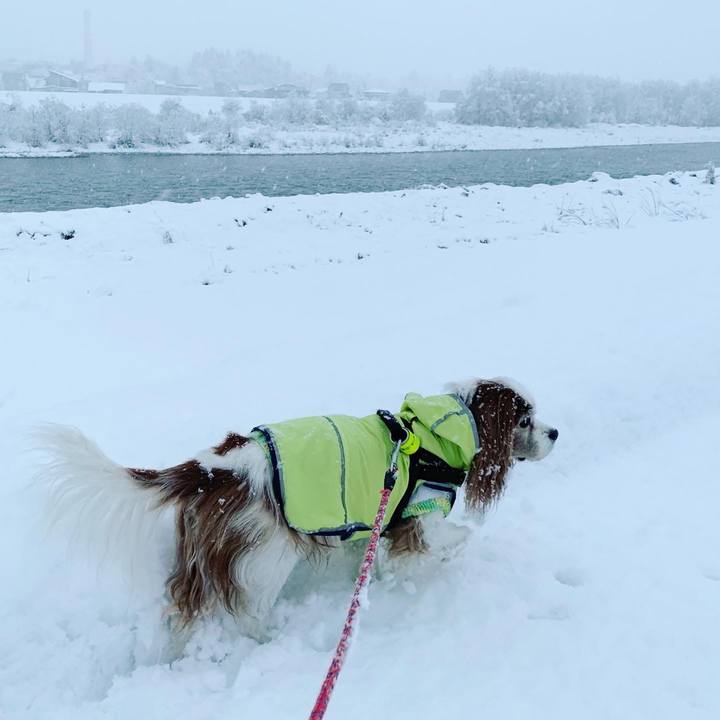 2905fb09 3868 47dc 8122 788c792c38c7 1607985586812