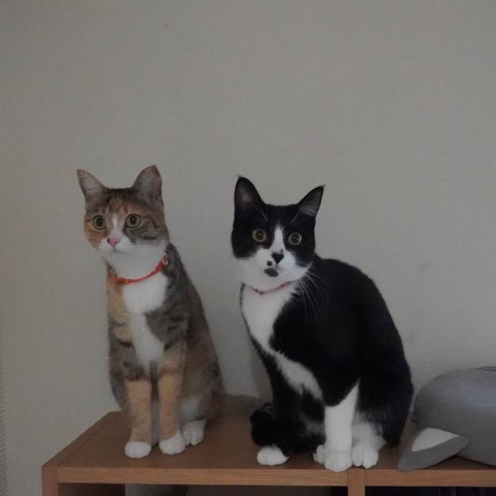 2905ffff d145 4df2 9c15 4ea7f5076e26 1612789357649