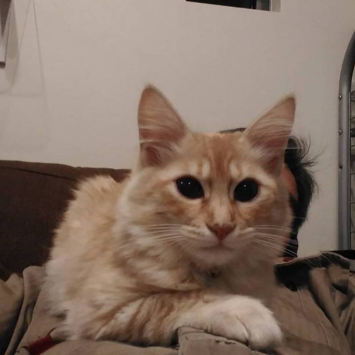 290658df 743f 46c2 a42e 11a6282346c9 1609837846654