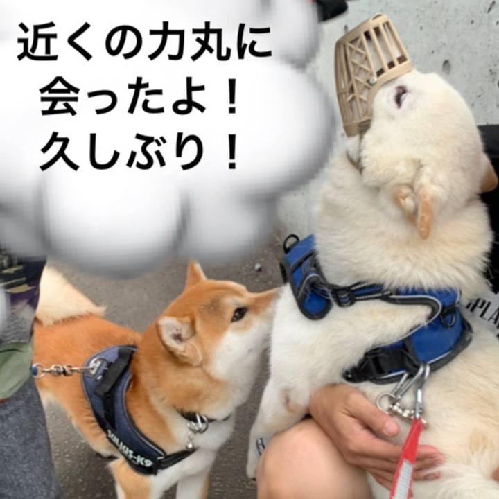 290663e4 4c3e 4833 a0cf af7eeea780a8 1623794619535