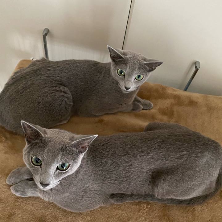 29066f75 3e5c 495d ba0c 2fc1c98e40be 1663984940658