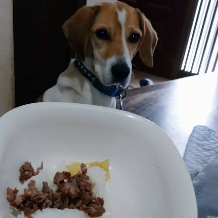 29067f95 6f66 41b5 b017 d8b9f72942fd 1609991861188